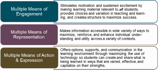 Graphic of the three broad instructional guidelines for UDL.