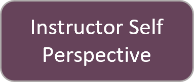 Click here for the instructor self perspective.