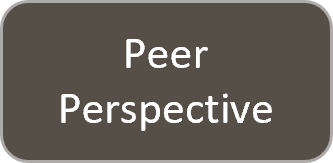 Click here for the peer perspective.