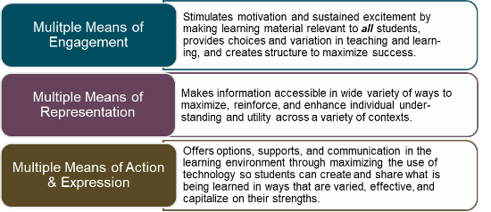 A graphic displaying the Universal Design for Learning Model.