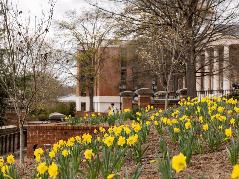 Faculty Teaching Celebration