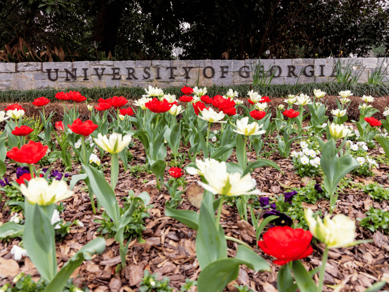 Graduate Student Teaching Awards